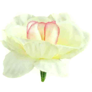 Róża główka 12 szt 4 cm Cream/Pink